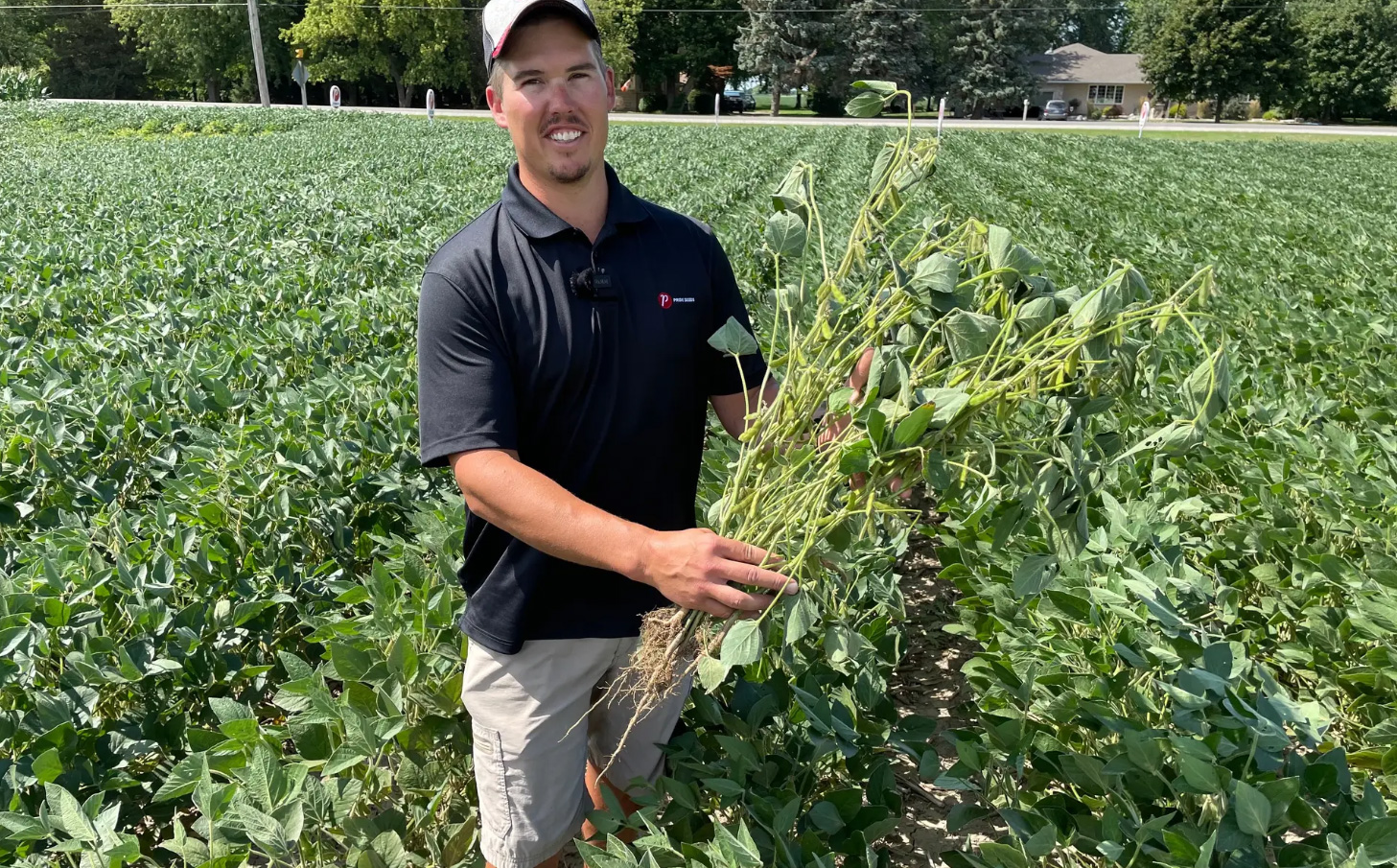 PRIDE Seeds agronomist Matt Chapple