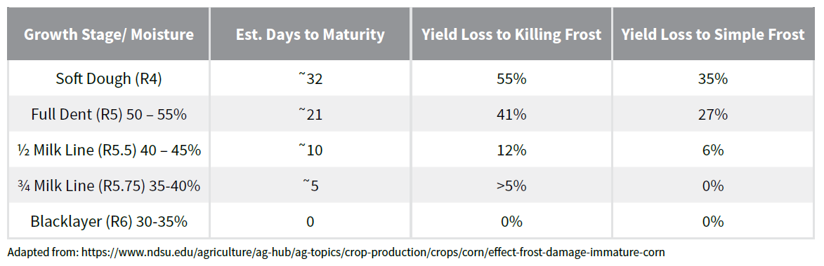 THE CHART BELOW SHOWS HOW MUCH YIELD LOSS CAN BE EXPECTED DUE TO A SIMPLE OR KILLING FROST BASED ON THE CORN MATURITY: