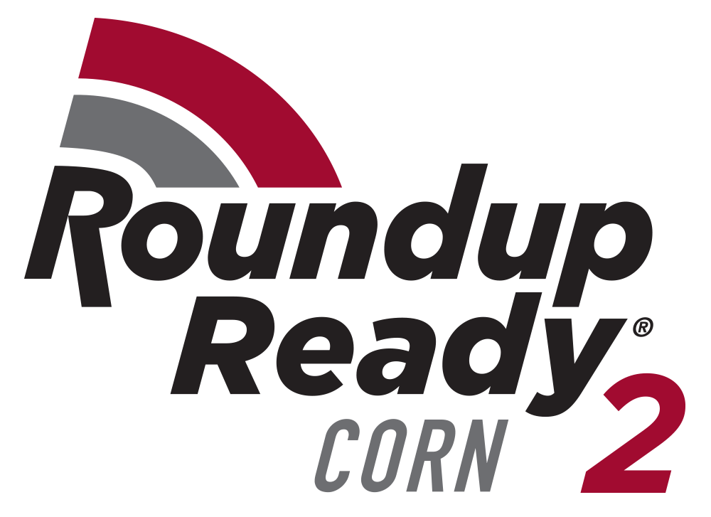  rr2-corn-en.png